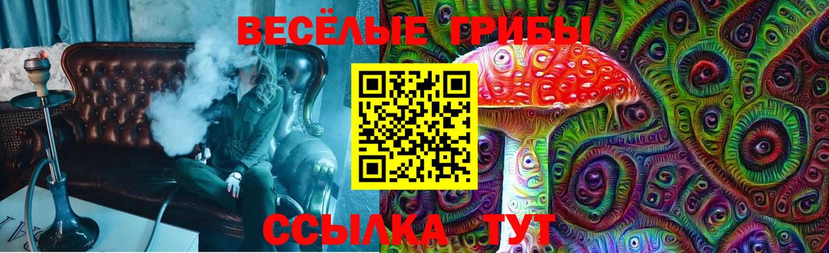 Галлюциногенные грибы MAGIC MUSHROOMS Ейск