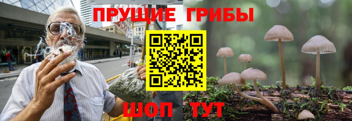 Галлюциногенные грибы Psilocybe  Вход с VPN  Галлюциногенные грибы ЛСД  Ейск 